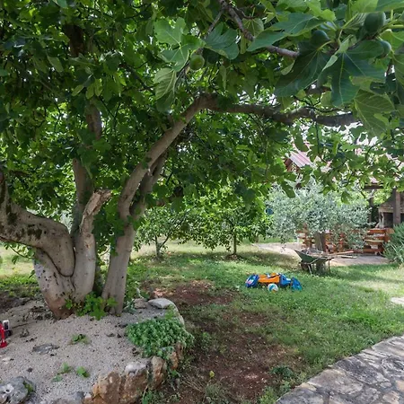 In - Istrien 47134 Apartamento Poreč